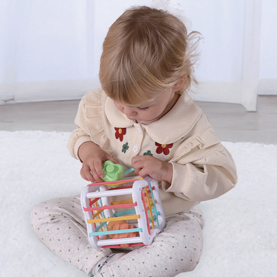 (11-12M) Sensory Play Kit for Babies  | Early Development Toys