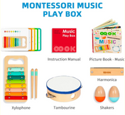 Educational Music Play Kit for Babies & Toddlers (6M - 5Y)