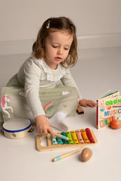 Educational Music Play Kit for Babies & Toddlers (6M - 5Y)